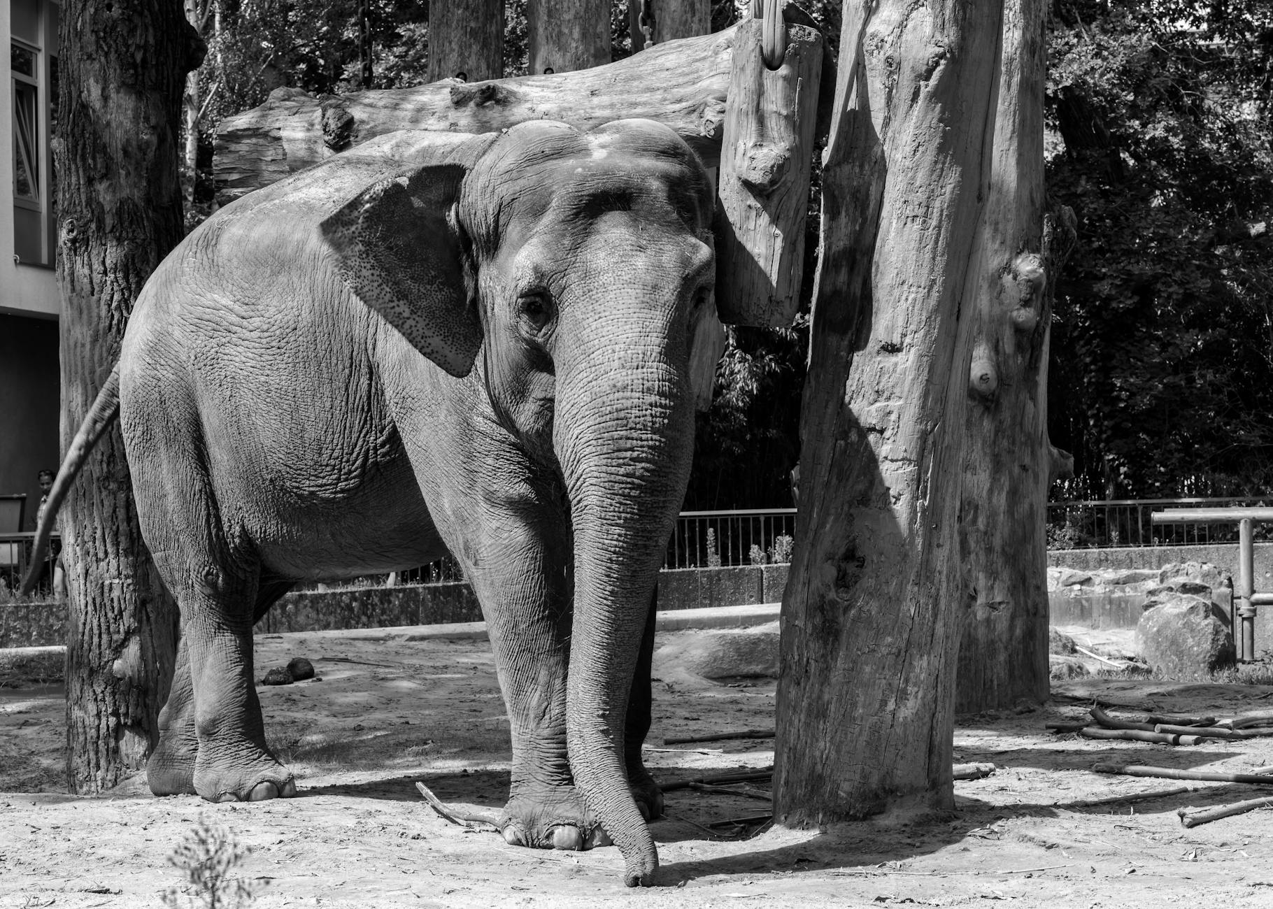 Berlin Zoo family visit