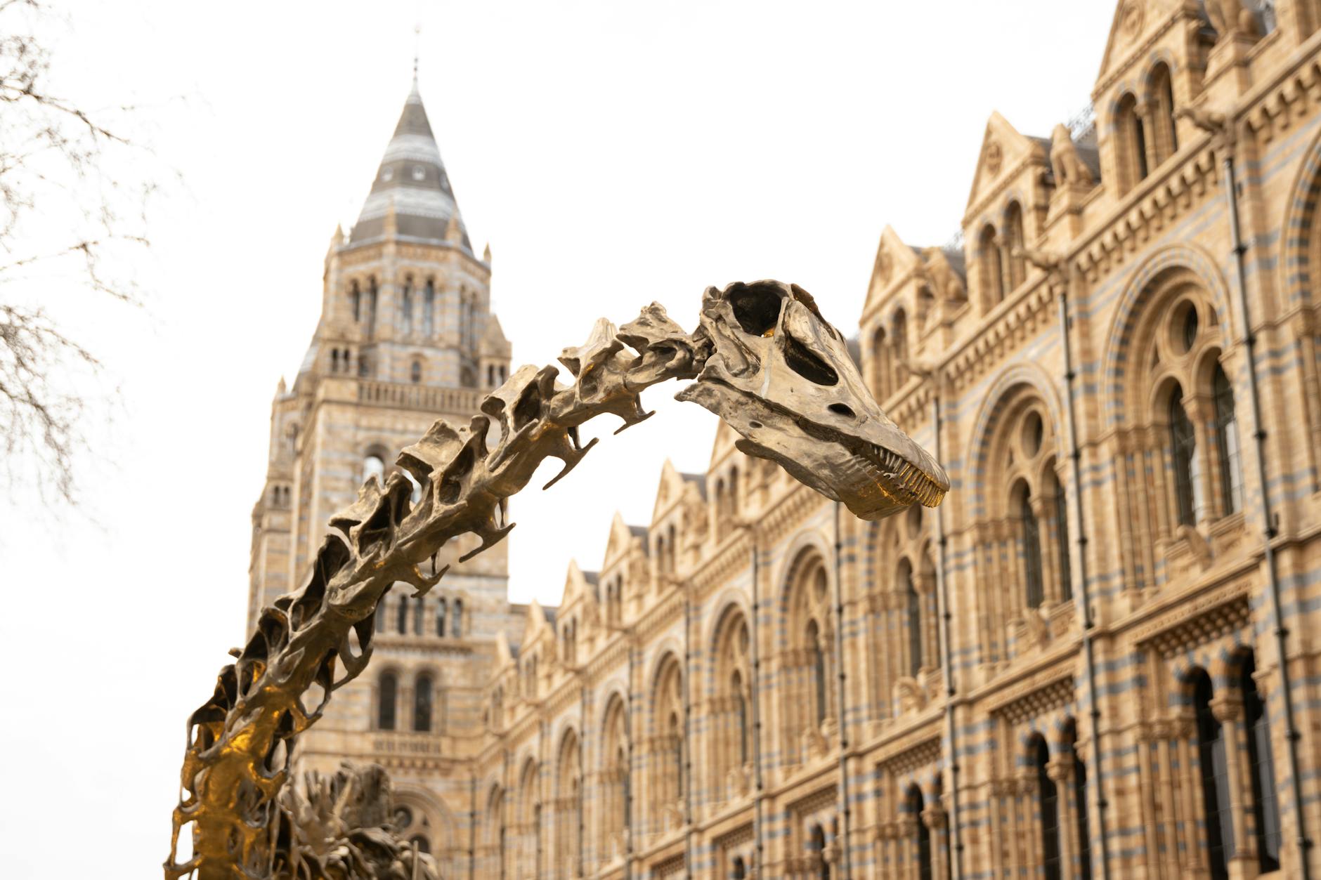 Natural History Museum dinosaur exhibit in Berlin